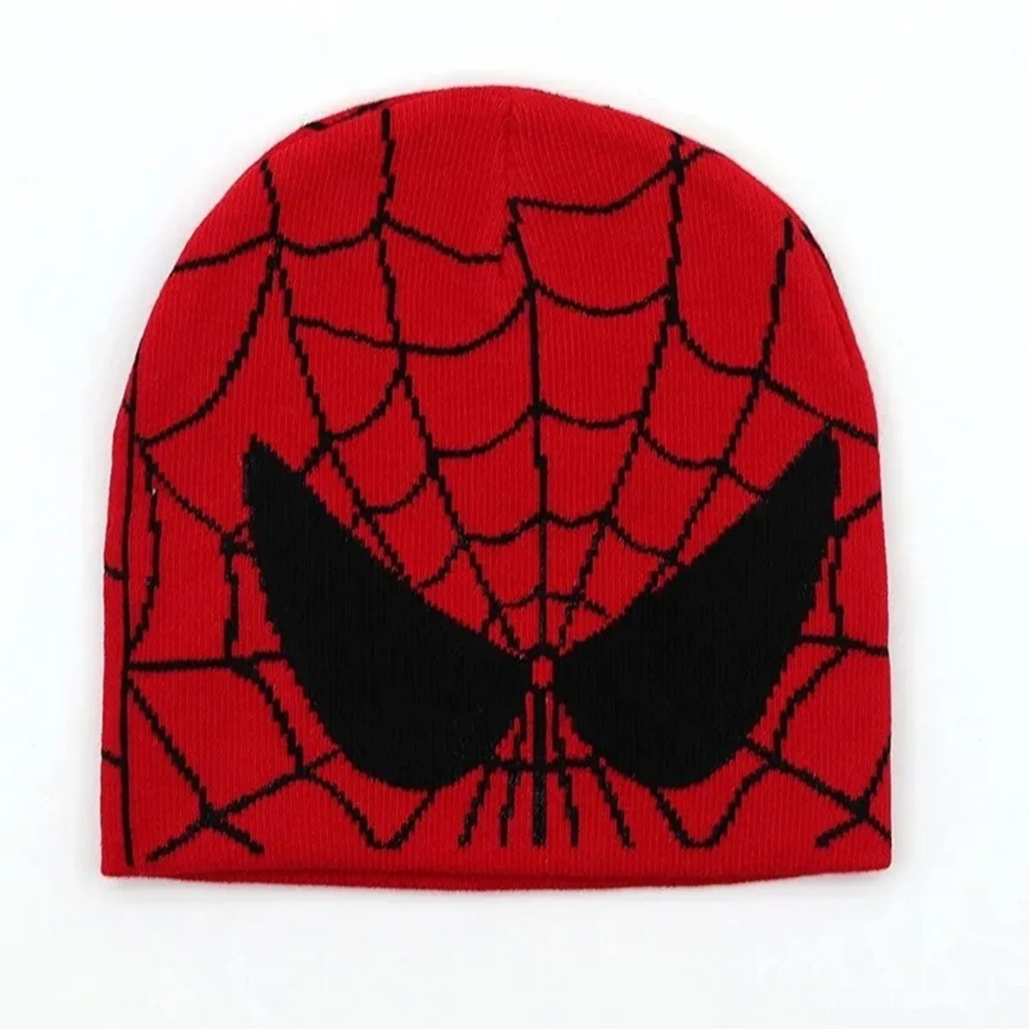 Spider Web Beanie